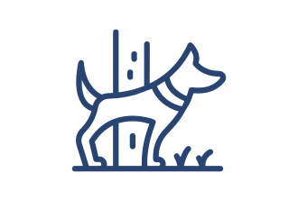 Riverciew City Loni and Riverview City magarpatta